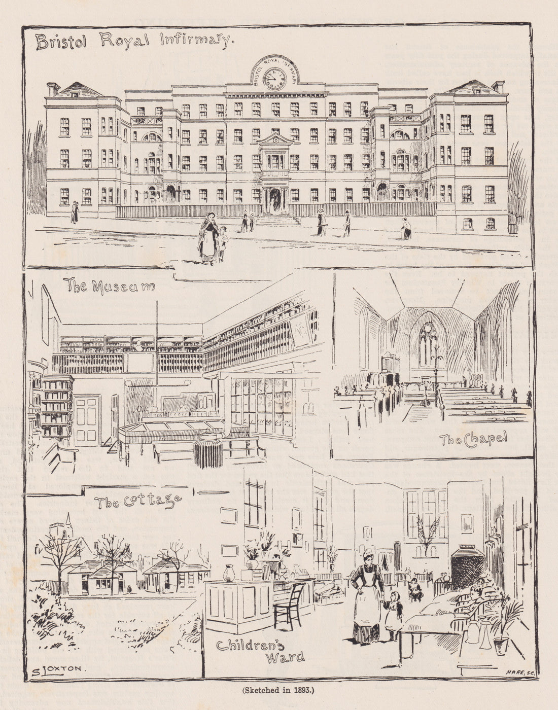 The Surprising History of the Bristol Stool Chart